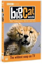 Big Cat Week - Series 3