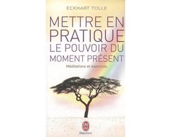 Mettre en pratique le pouvoir du moment présent : Enseignements essentiels, méditations et exercices pour jouir d'une vie libérée