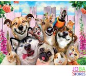 Diamond Painting "JobaStores®" Gekke Huisdieren - volledig - 40x30cm
