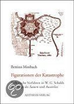 Figurationen der Katastrophe