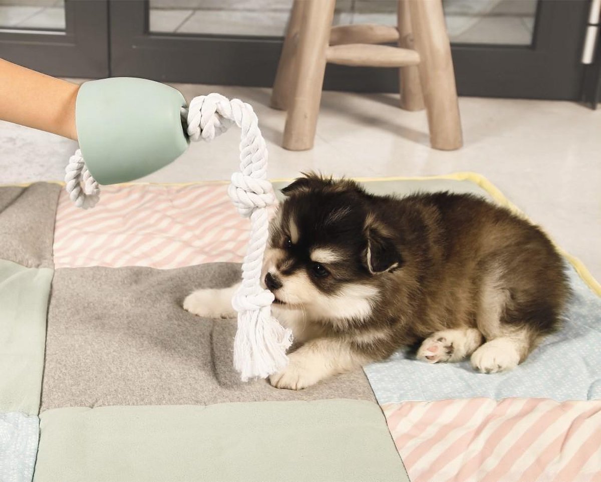 LG Beeztees Puppy Pullina - Flostouw met beschermkap thumbnail 3