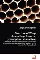 Structure of Wasp Assemblage (Insecta