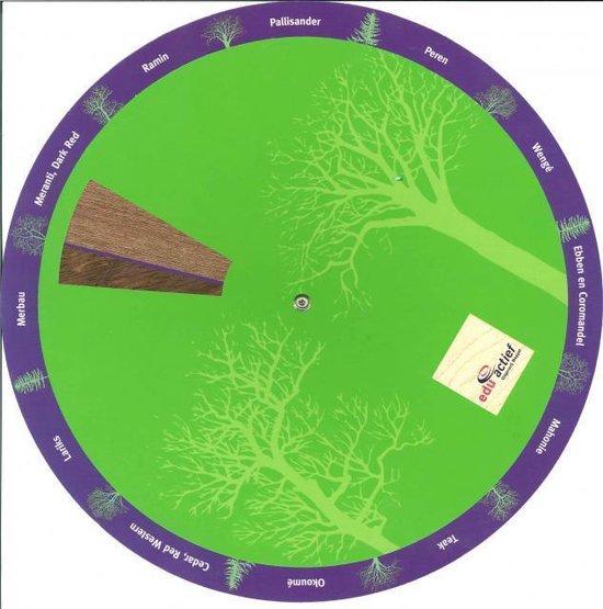 Cover van het boek 'Houtdraaischijf'