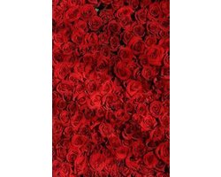 Red Roses