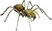 3D Puzzel Bouwpakket Tarantula- hout