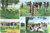 Wiebe Van Der Zee Placemat (Set van 6 stuks)