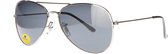 Sunheroes Zonnebril WASHINGTON - Zilverkleurig montuur - Grijze gepolariseerde glazen