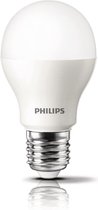 Philips Led Bulb 48WE27