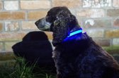 IA LED Light Up Pet Collar - Hondenhalsband - M/L - 41-51cm - Blauw