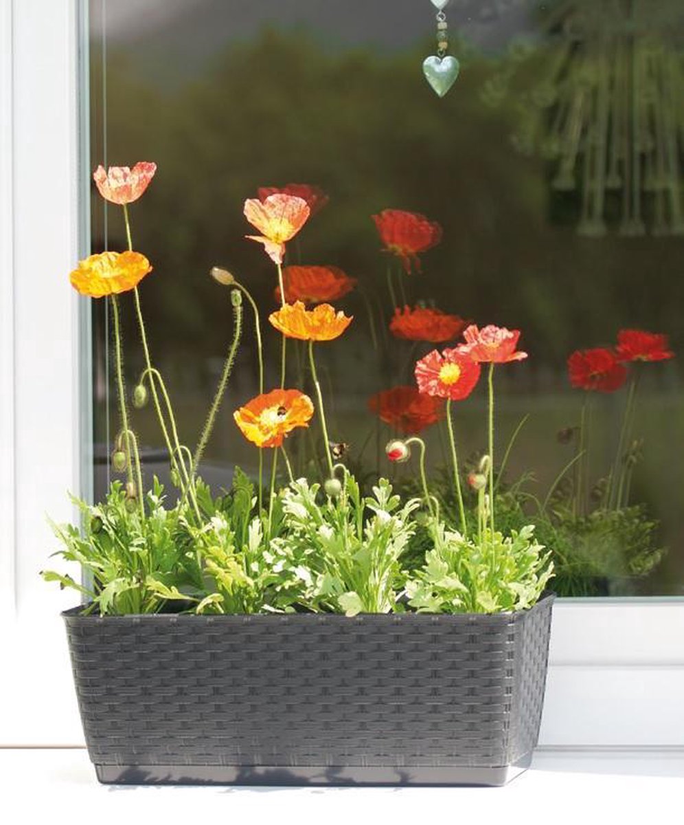 Pot De Fleur Rectangulaire Haut - Jardin Et Saisons