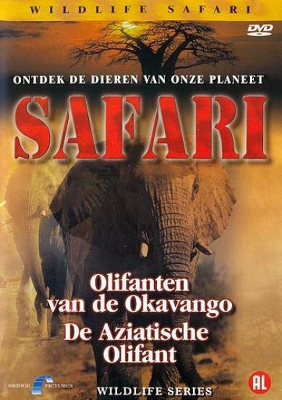 Safari - Olifanten
