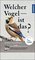 Paperback