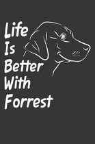 Life Is Better With Forrest