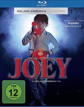 Emmerich, R: Joey - Und es gibt doch ein Wiedersehen