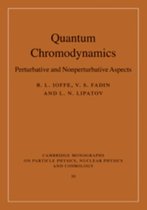 Quantum Chromodynamics