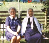 Dauwd - Theory Of Colours (CD)