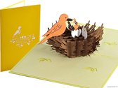 Popcards popupkaarten - Vogelnest Vogel Eieren Geboorte Verhuizing Nieuwe woning Pasen pop-up kaart 3D wenskaart
