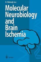 Molecular Biology and Brain Ischemia