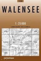 Swisstopo 1 : 25 000 Walensee