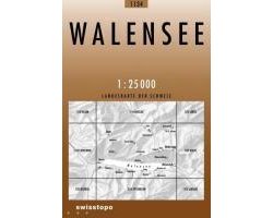 Swisstopo 1 : 25 000 Walensee