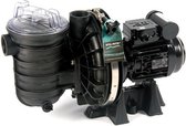 Sta-Rite Saltwater pump 5P2RC-0,37kW
