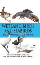 Wetland Birds and Seabirds