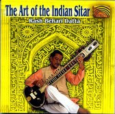 The Art Of The Indian Sitar