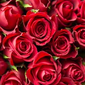 Sock My Roses of Love - Dames 39-42