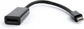 Mini DisplayPort adapter