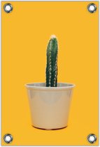 Tuinposter –Cactus op Gele achtergrond in Bruine Pot – 40x60cm Foto op Tuinposter (wanddecoratie voor buiten en binnen)