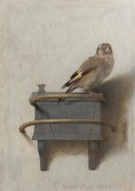 Het puttertje | Carel Fabritius  | Aluminium | Schilderij | Wanddecoratie | 60 x 40