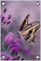 Tuinposter –Vlinder op Paarse Bloemen – 80x120cm Foto op Tuinposter (wanddecoratie voor buiten en binnen)
