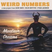 Weird Numbers - Minotaur Dreams (7" Vinyl Single)