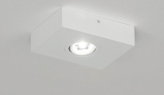 Lumidora Opbouwspot 73303 – Ingebouwd LED – 3.0 Watt – 300 Lumen – 2700 Kelvin – Wit – Metaal – Badkamerlamp
