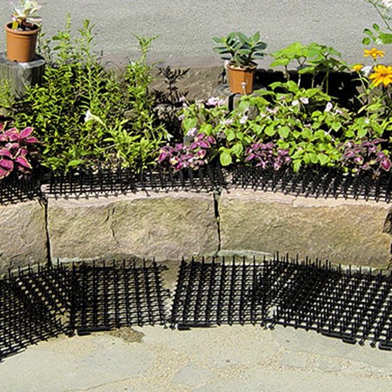 bodem muziek Snor Katten afweer tuinmatten - Set van 4 stuks - 34x24 cm | bol.com