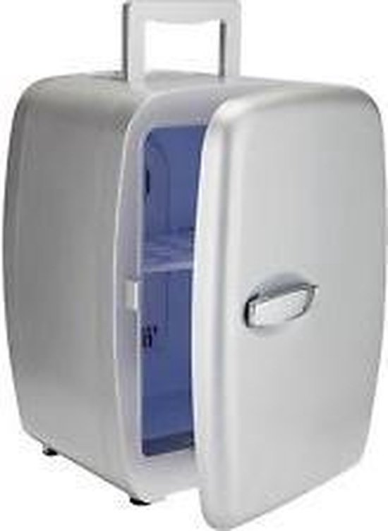 Paar dump aangrenzend 14l Zilverkleurige/grijze Retro mini koelkast koelbox frigo | bol.com