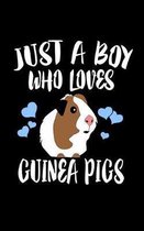 Just A Boy Who Loves Guinea Pigs