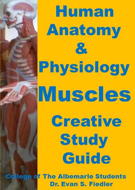 Human Anatomy & Physiology: Muscles - cover