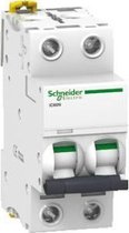 Schneider Electric stroomonderbreker - A9F74204 - E33TG