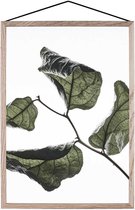 MOEBE Poster Floating Leaves - Groen