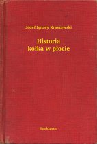 Historia kołka w płocie