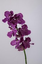 Orchidee Vanda - zijden bloem 1 stuk - paars - topkwaliteit - 84cm