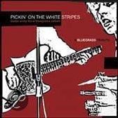 Pickin' on the White Stripes: A Bluegrass Tribute