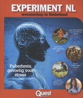 Experiment NL/4
