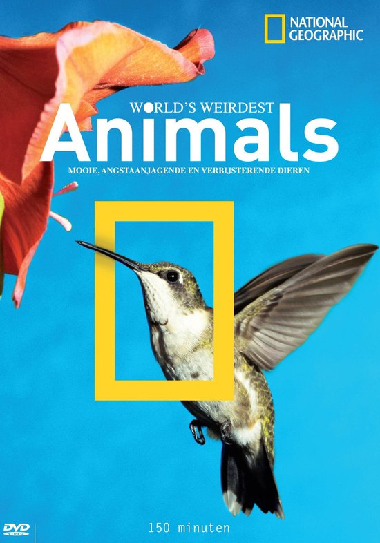 Cover van de film 'World's Weirdest Animals'