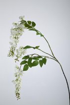 Wisteria - zijden bloem - wit - topkwaliteit  - 110cm