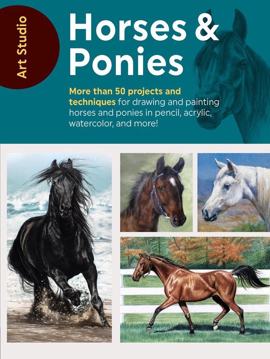 Art Studio - Art Studio: Horses & Ponies - cover