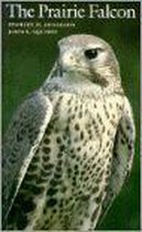 The Prairie Falcon
