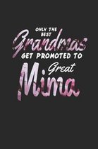 Only the Best Grandmas Get Promoted to Great Mima