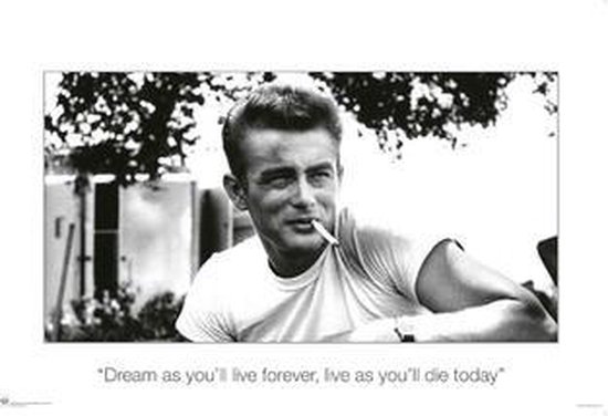 Citation James Dean Poster Dream Comme Si Tu Vivras Toujours 61x91 5cm Bol Com